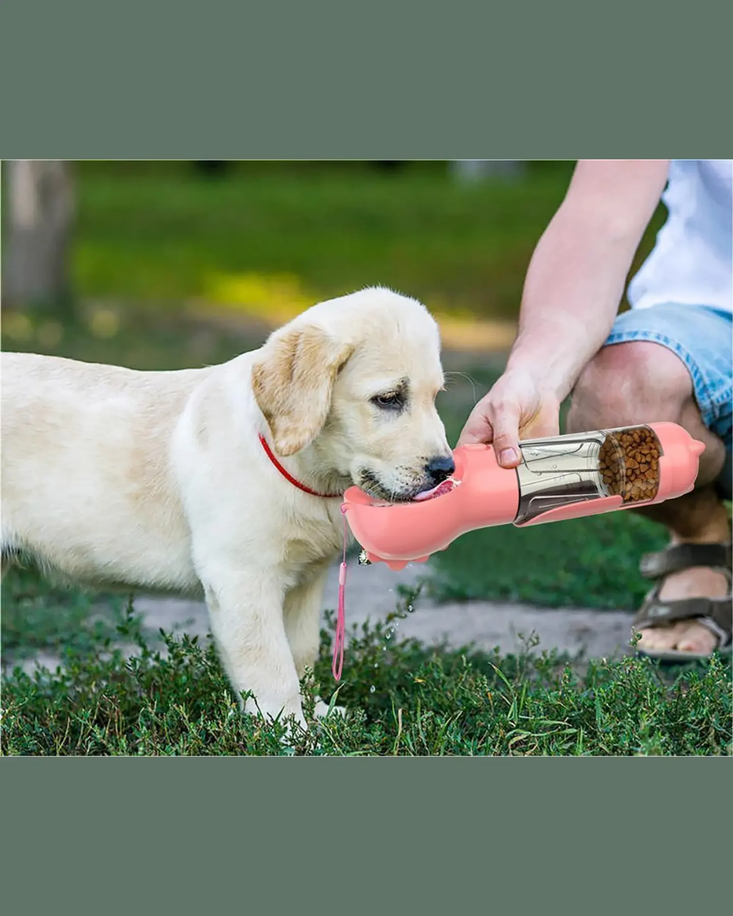 3-in-1 Dog Travel Bottle