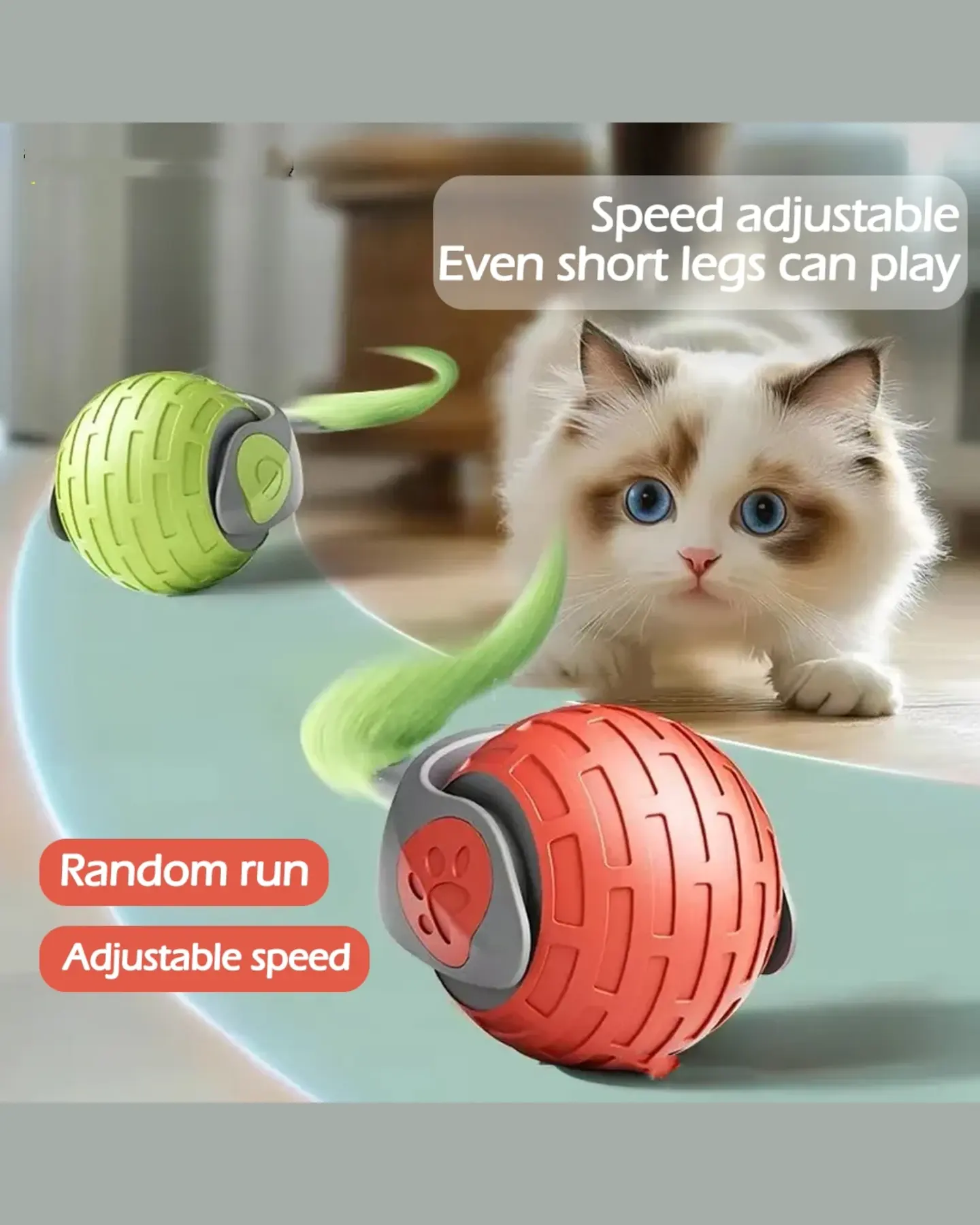 Auto Rolling Cat Ball