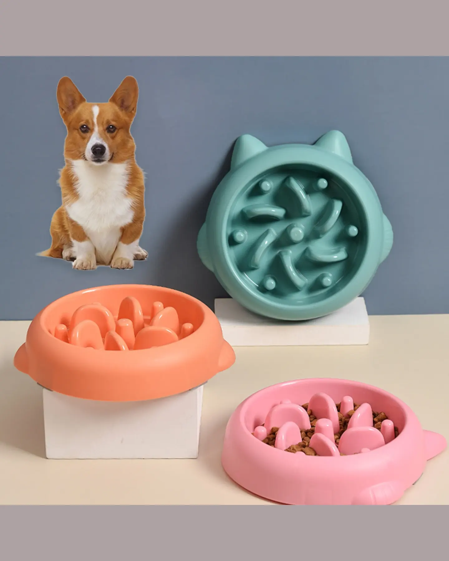 Slow Feeder Pet Bowl